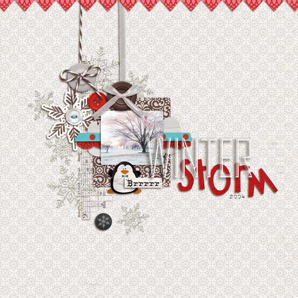 Winter Storm