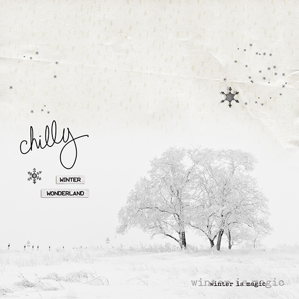 Winter Talk