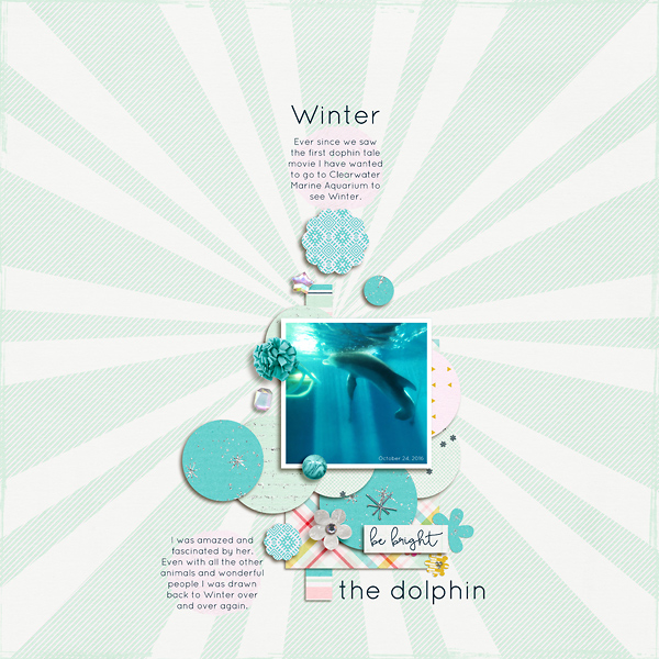 Winter the Dolphin