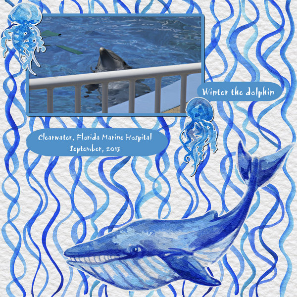 Winter the dolphin