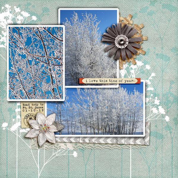 Winter Trees