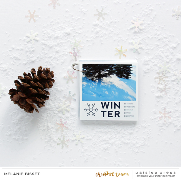Winter Vibes 4x4 mini-album