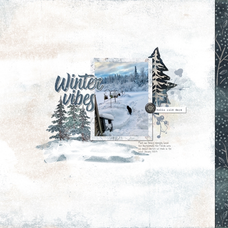 Winter Vibes