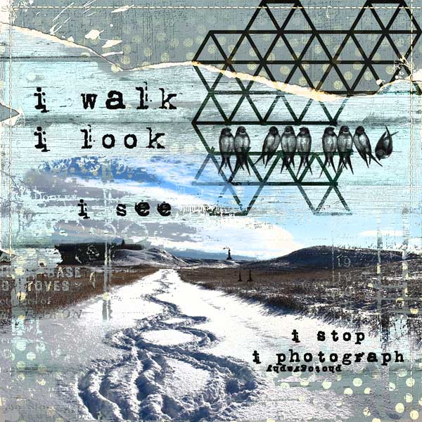 Winter Walk