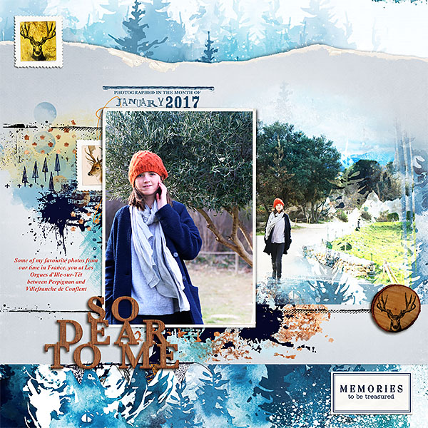 winter walk