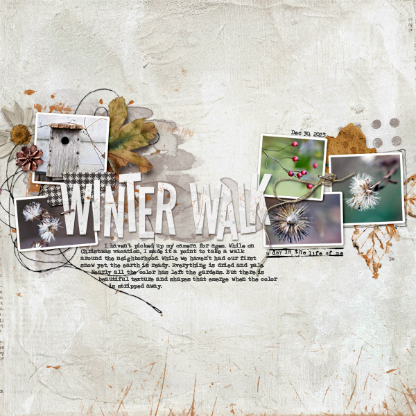 Winter-Walk