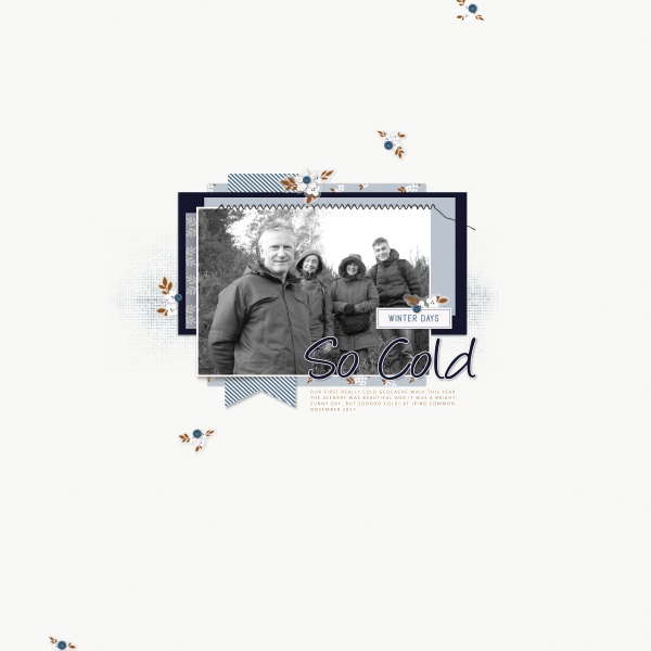 Winter Walks