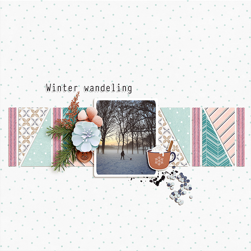 Winter wandeling