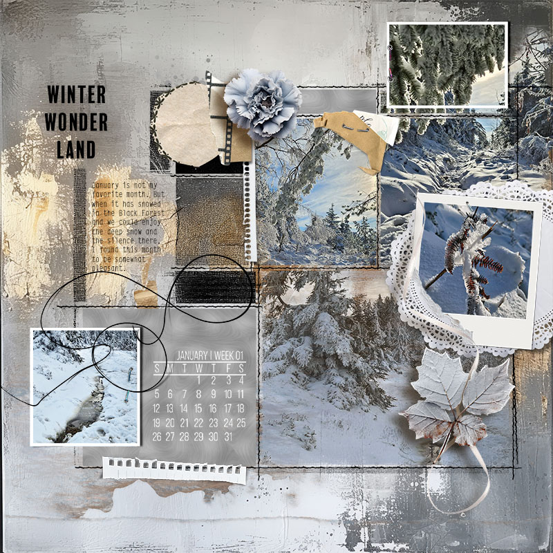 winter.wonder.land