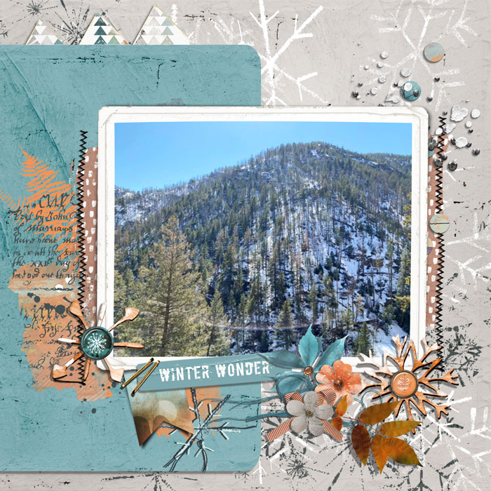 winter wonder