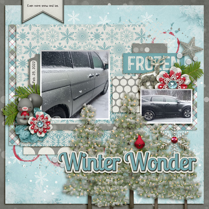 Winter Wonder