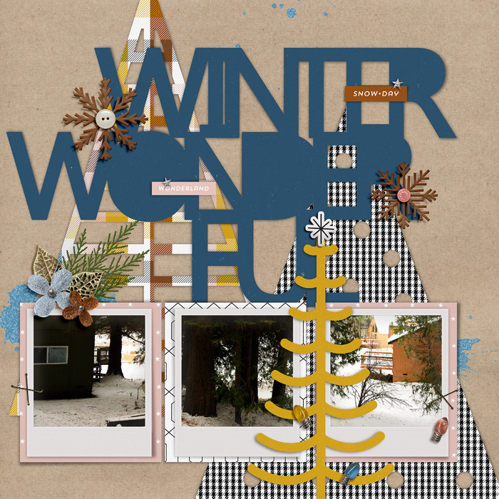Winter Wonderful