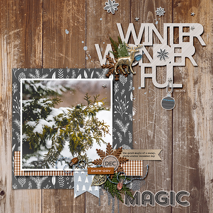 Winter Wonderful
