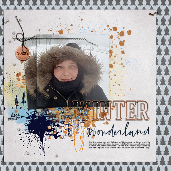 Winter Wonderland (Moc6-2)