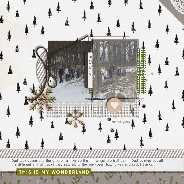 Winter-Wonderland