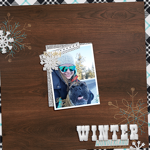 Winter Wonderland