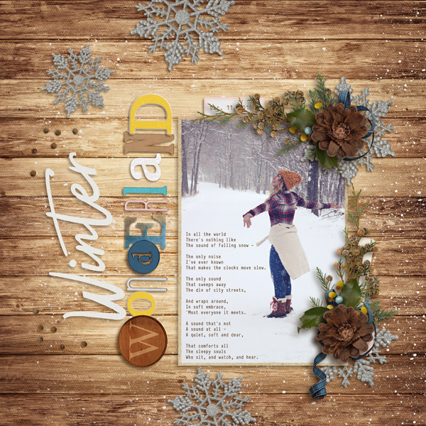 Winter Wonderland