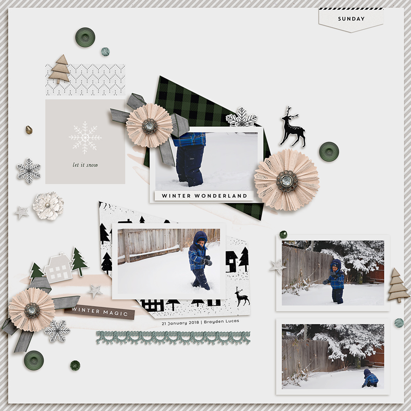 winter wonderland