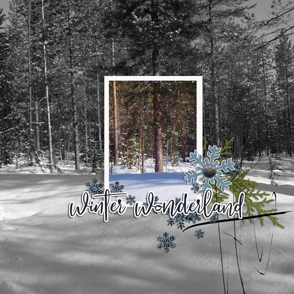 winter wonderland
