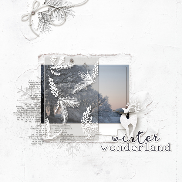 Winter Wonderland