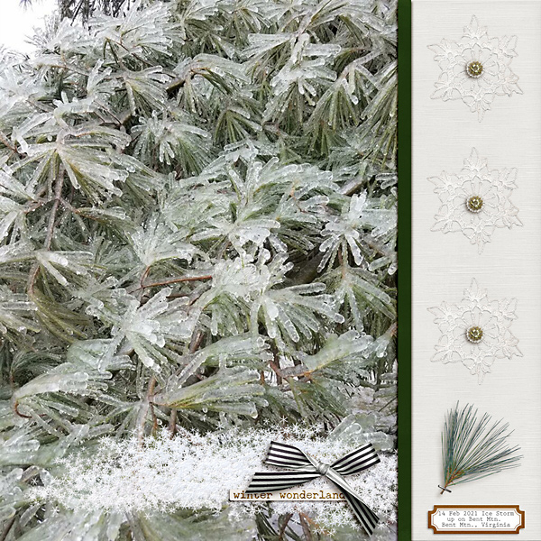 Winter Wonderland
