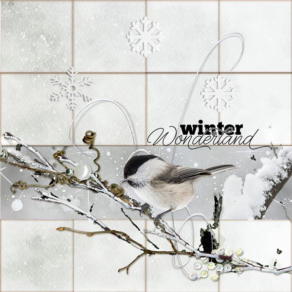 Winter Wonderland