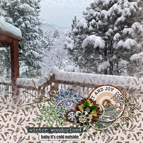 winter wonderland