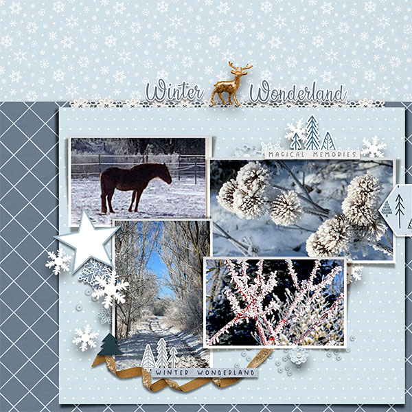Winter-Wonderland_MOC10_day7