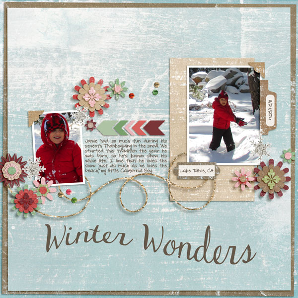 Winter Wonders