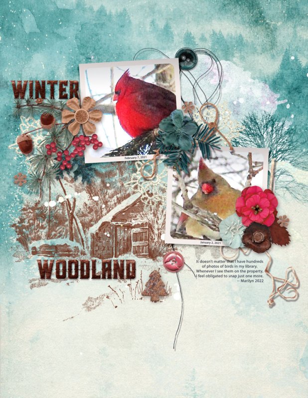 Winter Woodland - Whimsical Template 7