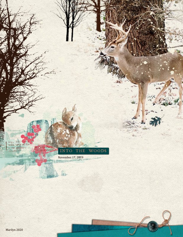 Winter Woodland