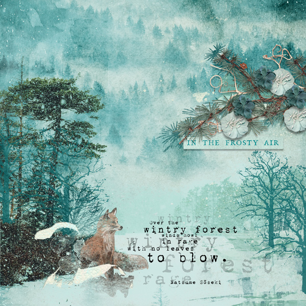 Winter Woodland