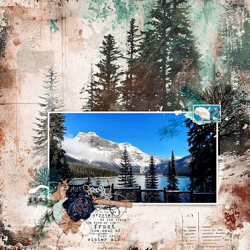 WINTER WOODLAND