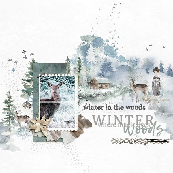 Winter Woods