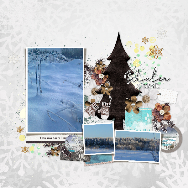 Winter
