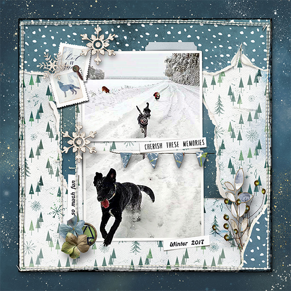 Winter_2017