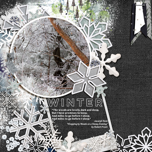 Winter_Woods_MOC27