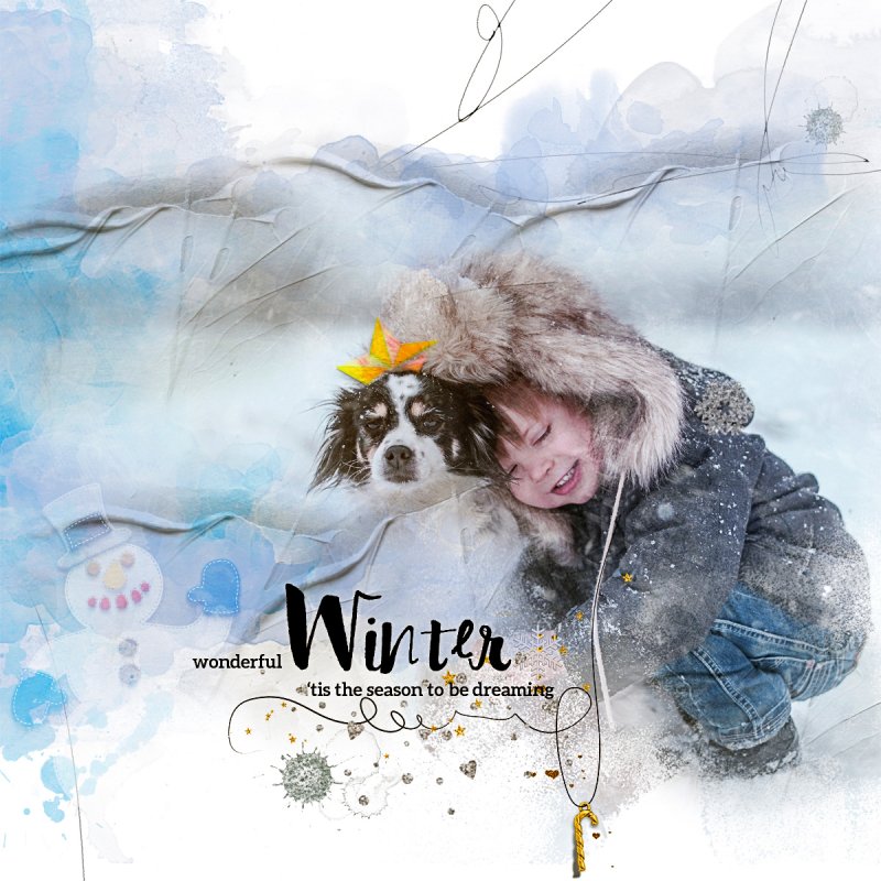 WinterDreams
