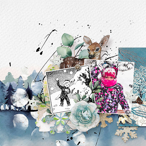 Winterland