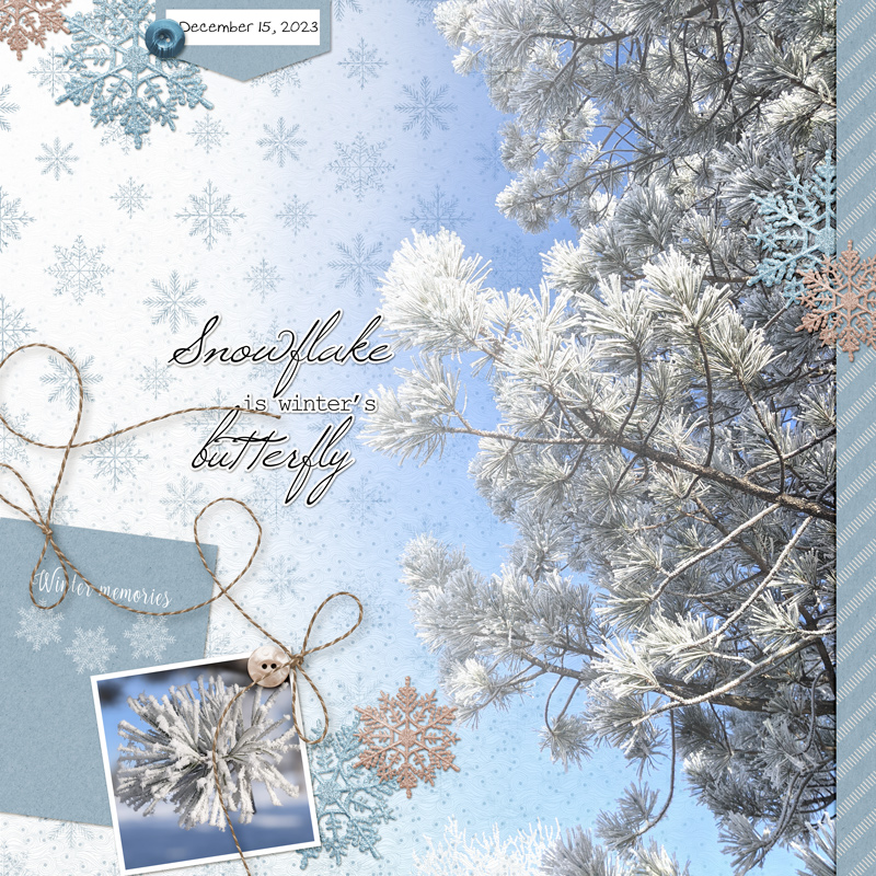 Winter's-butterfly