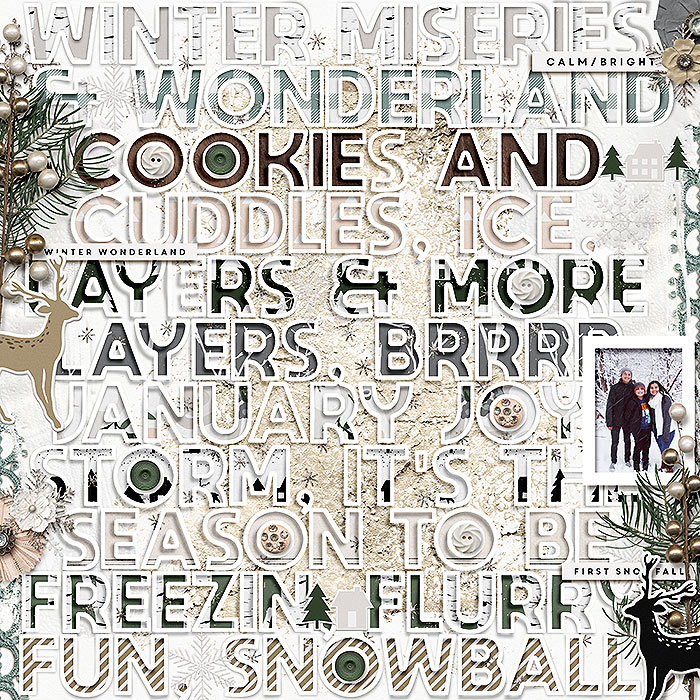 winters snow