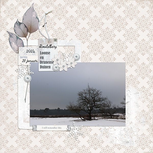 Winterse Duinen