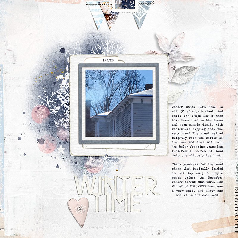 Wintertime Snowy Views