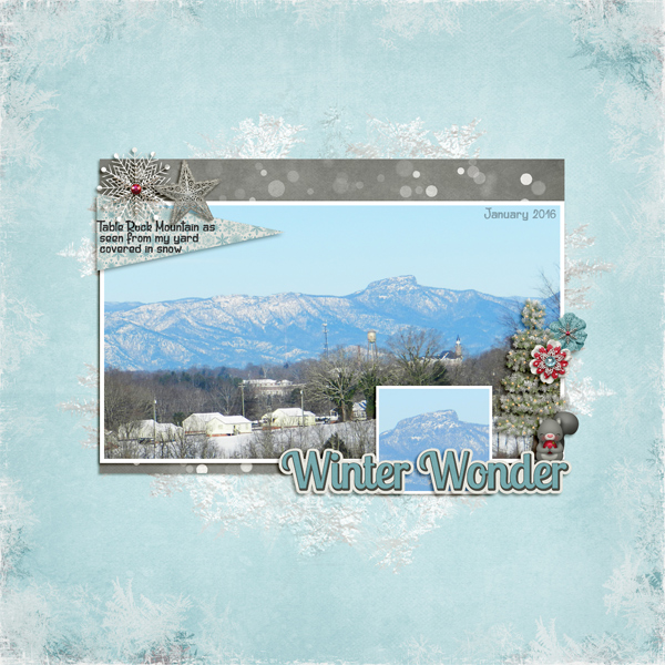 WinterWonder
