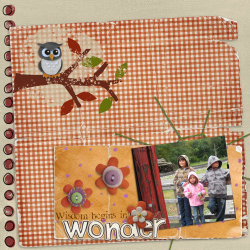 Wisdome Begins in Wonder