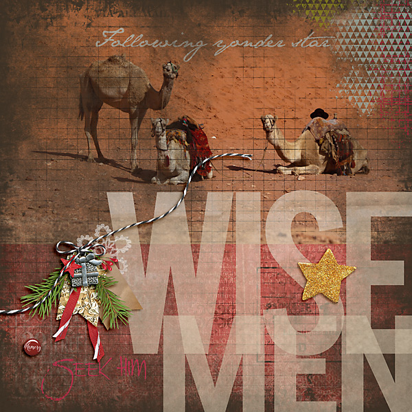 Wisemen Still Seek Him