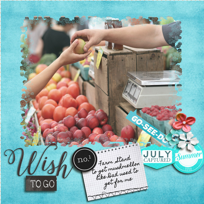 Wishtogo01