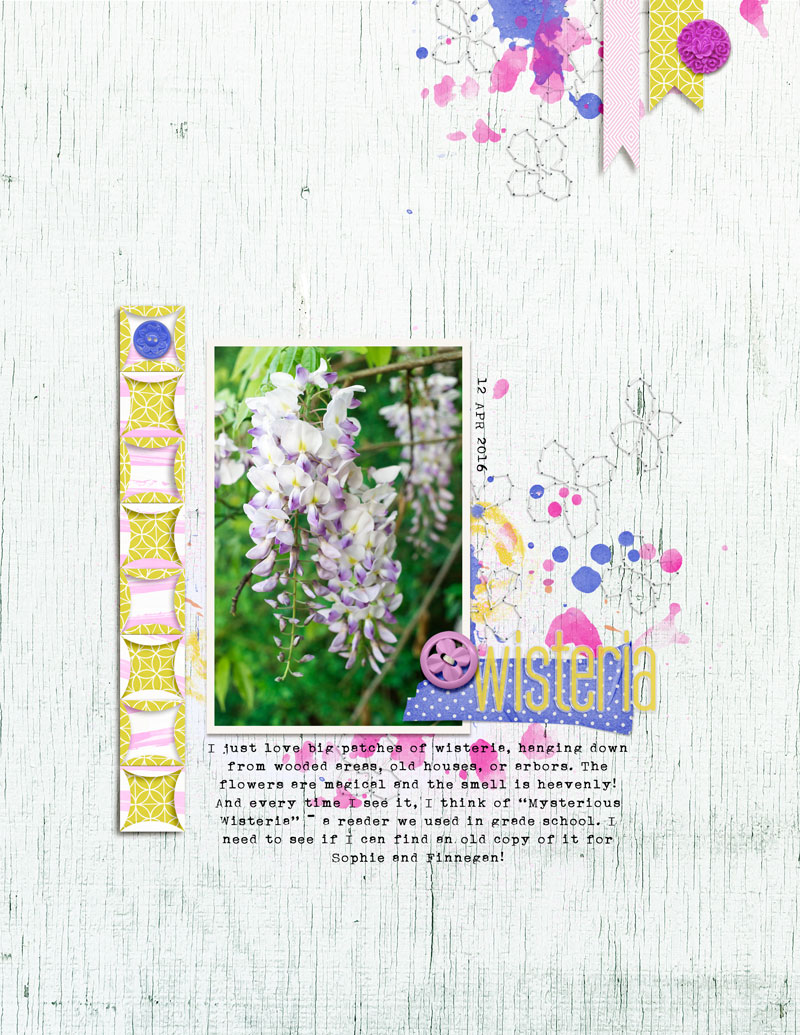 Wisteria