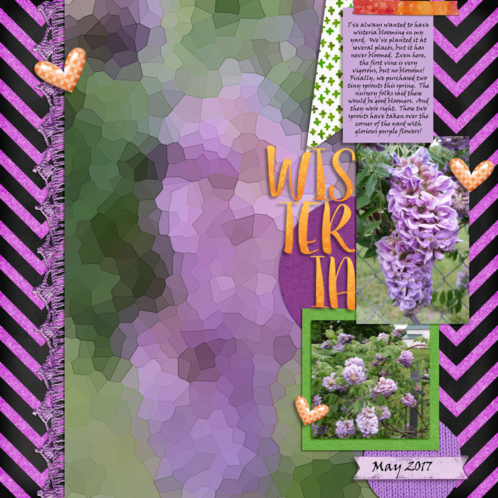 Wisteria