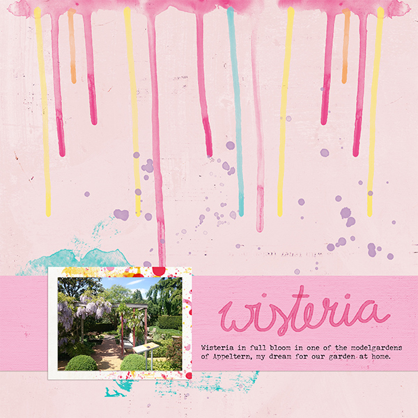Wisteria